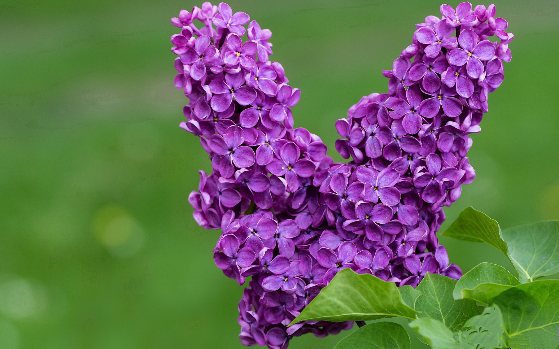 开云官方网站-_快船队整体协调，比赛节奏良好_，快船队的阵容